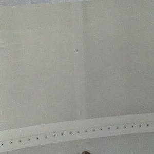 Meet your Posher, Luis